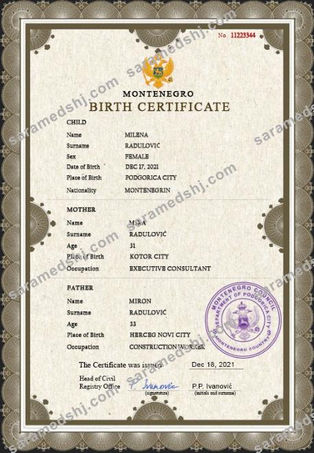 Montenegro vital record birth certificate PSD template